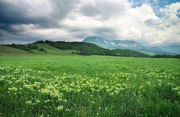 istock Beautiful mountain landscape 466347857