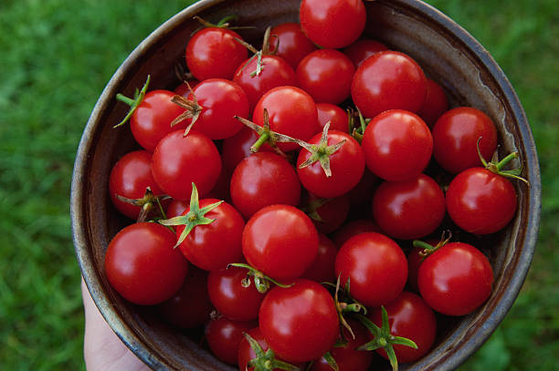 istock Ceramic bowl of cherry tomatoes 466347999
