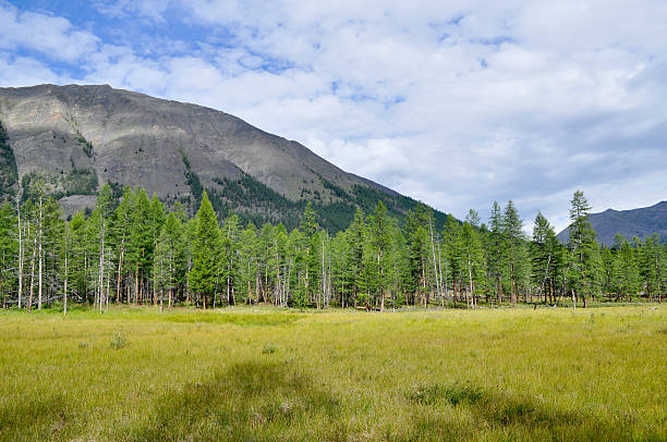 istock Grassy valley along the mountain ridge. 466348403