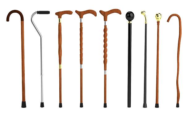 render of canes realistic 3d render of canes stick plant part stock pictures, royalty-free photos & images