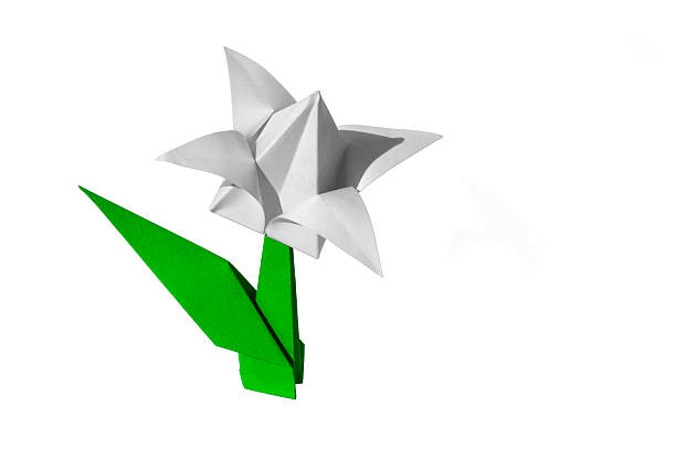 istock Origami flower white tulip isolated 466352137