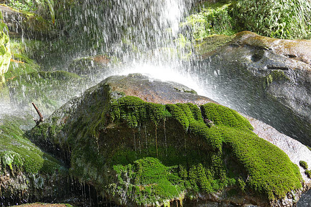 istock Splashing water on a green mossy rock 466353620