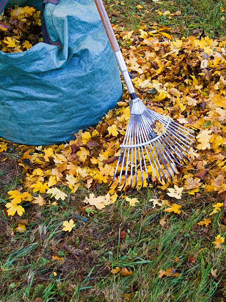 fall leaves Pile of fall leaves with rake on lawn garden fork stock pictures, royalty-free photos & images