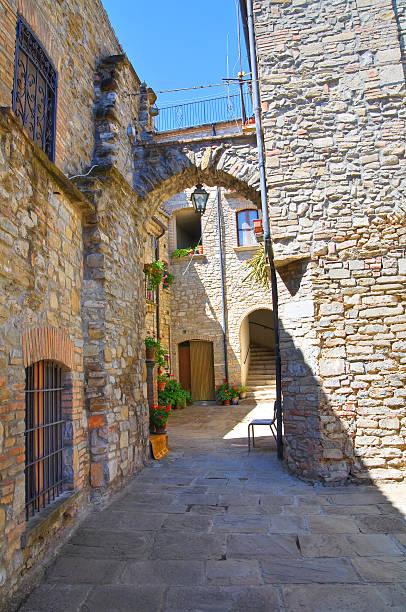 istock Alleyway. Guardia Perticara. Basilicata. Italy. 466356070