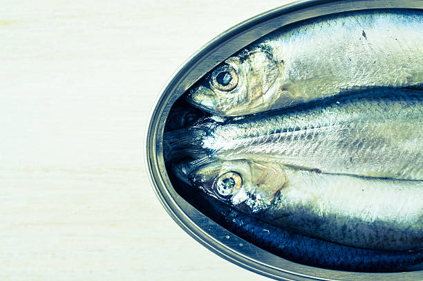 Sprats in a tin