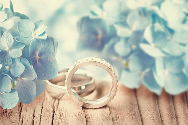 hochzeit ringe mit blauen hortensie blumen. - temperate flower hydrangea plant flower stock-fotos und bilder