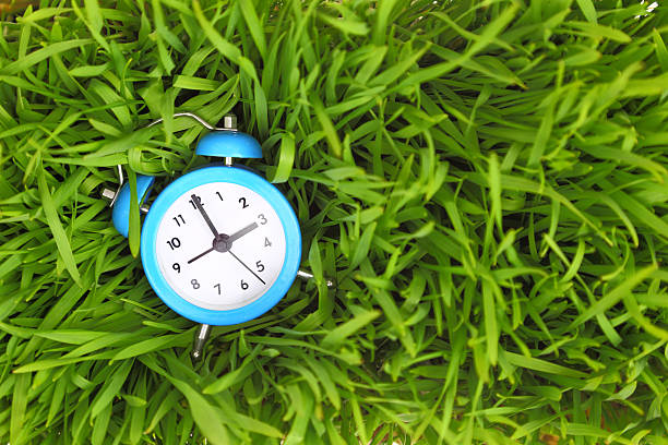 istock Blue alarm clock on green grass, conceptual. 466356285