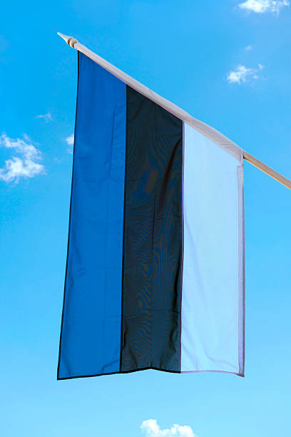 istock Estonian flag in summer. 466357214