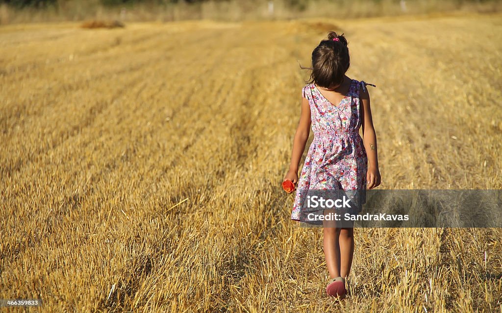 Looking down Little girl walking on the fields of gold and looking down Activity Stock Photo