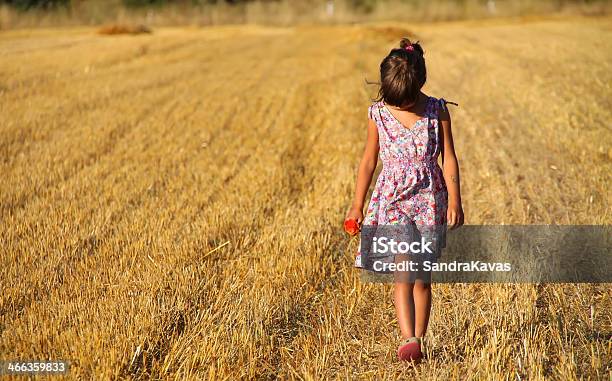 Looking Down Stock Photo - Download Image Now - Activity, Agricultural Field, Brown Hair