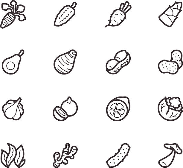 ilustraciones, imágenes clip art, dibujos animados e iconos de stock de vegetal elemento icono vector negro conjunto sobre fondo blanco - bean avocado radish nut