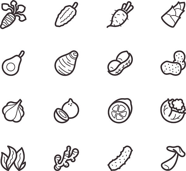 야채 요소 벡터 검정색 아이콘 세트 (흰색 배경) - bean avocado radish nut stock illustrations