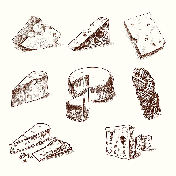 zeichnung doodle skizze-käse mit verschiedenen arten von käse - maasdam stock-grafiken, -clipart, -cartoons und -symbole