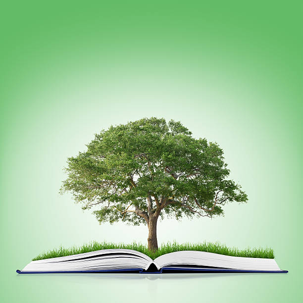 istock An open book with grass and a tree growing out of it 466364886