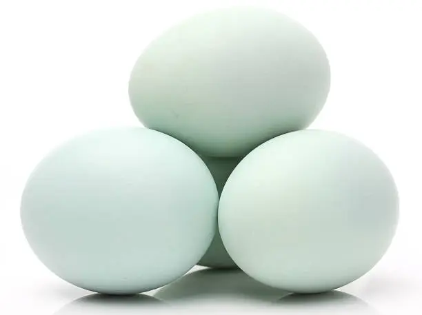 Photo of Duck eggs