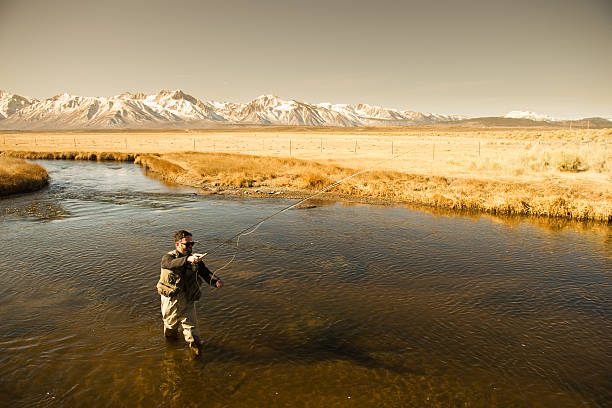 istock Mountain Fly Fisherman 466373570