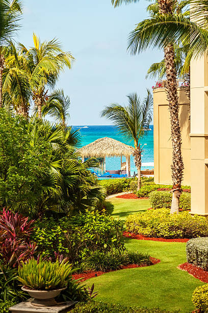 istock View of the Caribbean 466376373