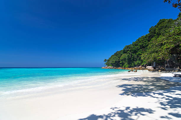 istock Tropical beach with sea on the sand and trees 466381003