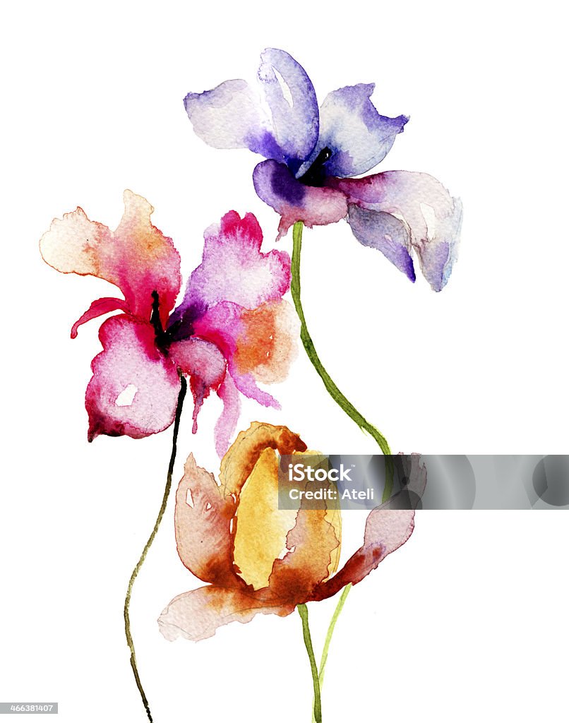 Illustrazione ad acquerello di Fiori estivi - Illustrazione stock royalty-free di Bocciolo