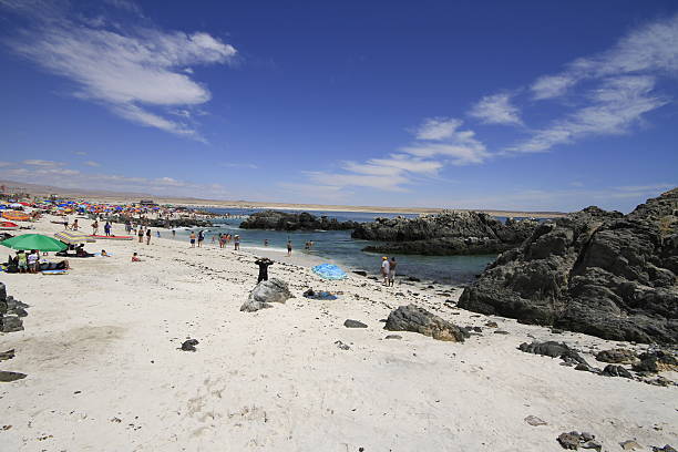 istock Bahia Inglesia, Caldera, Chile 466382760
