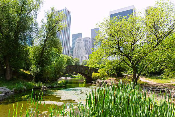 istock Central Park The Pond Manhattan New York 466384918