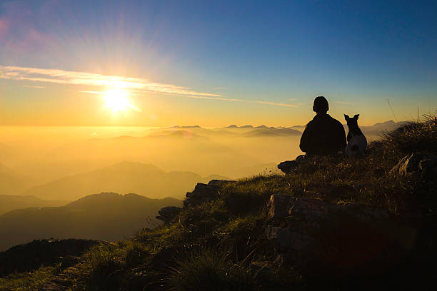 istock A man with his dog on the mountain watching the sunset 466387855