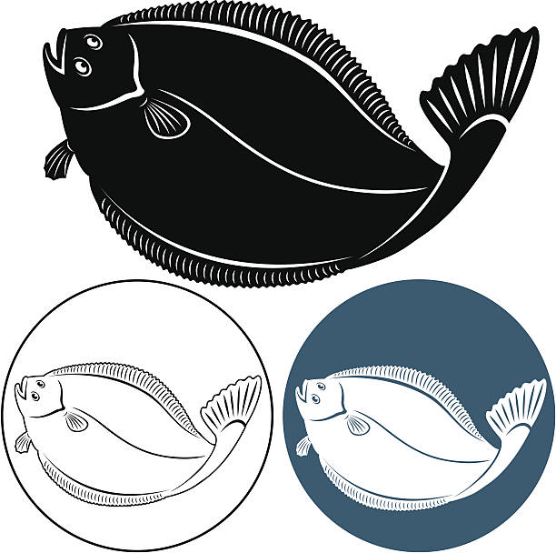 Halibut Ink 1,800+ Halibut Stock Illustrations, Royalty-Free Vector Graphics & Clip ...