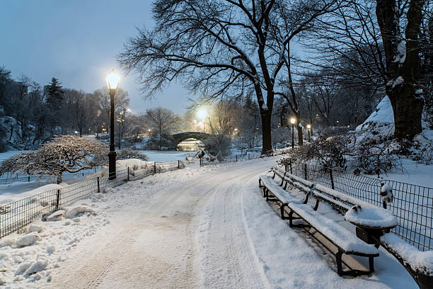 istock Gapstow bridge Central Park, New York City 466392234