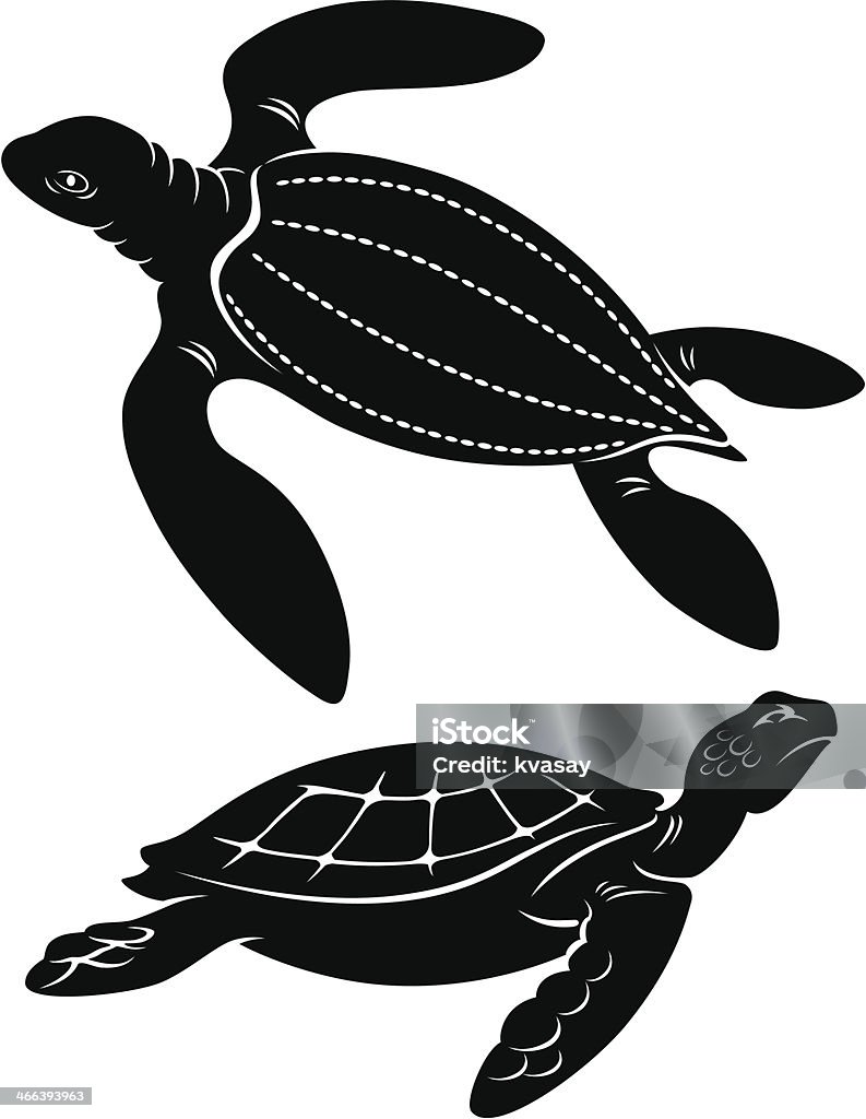 turtle the figure shows the turtle Box Turtle stock vector