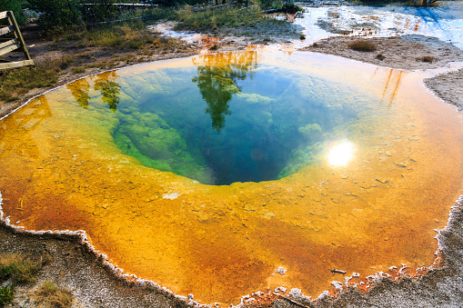Colorful Morning Glory Pool in YellowStone National Park