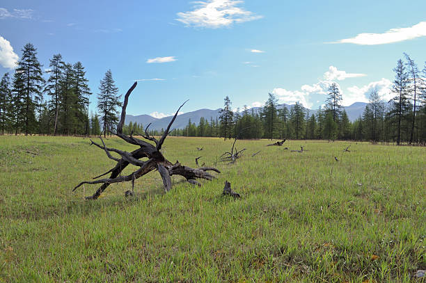istock Landscape of  valley in the mountains 466395163