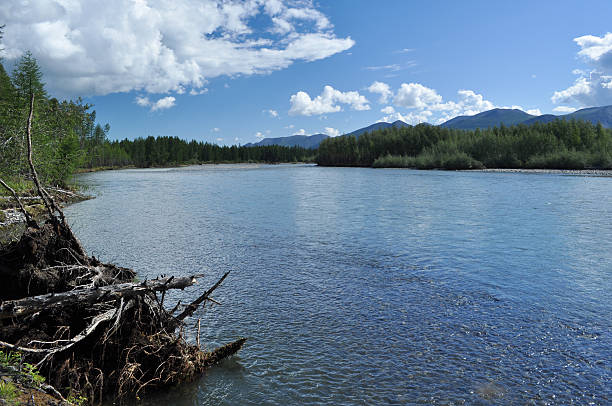 istock Landscape North of the river. 466395185