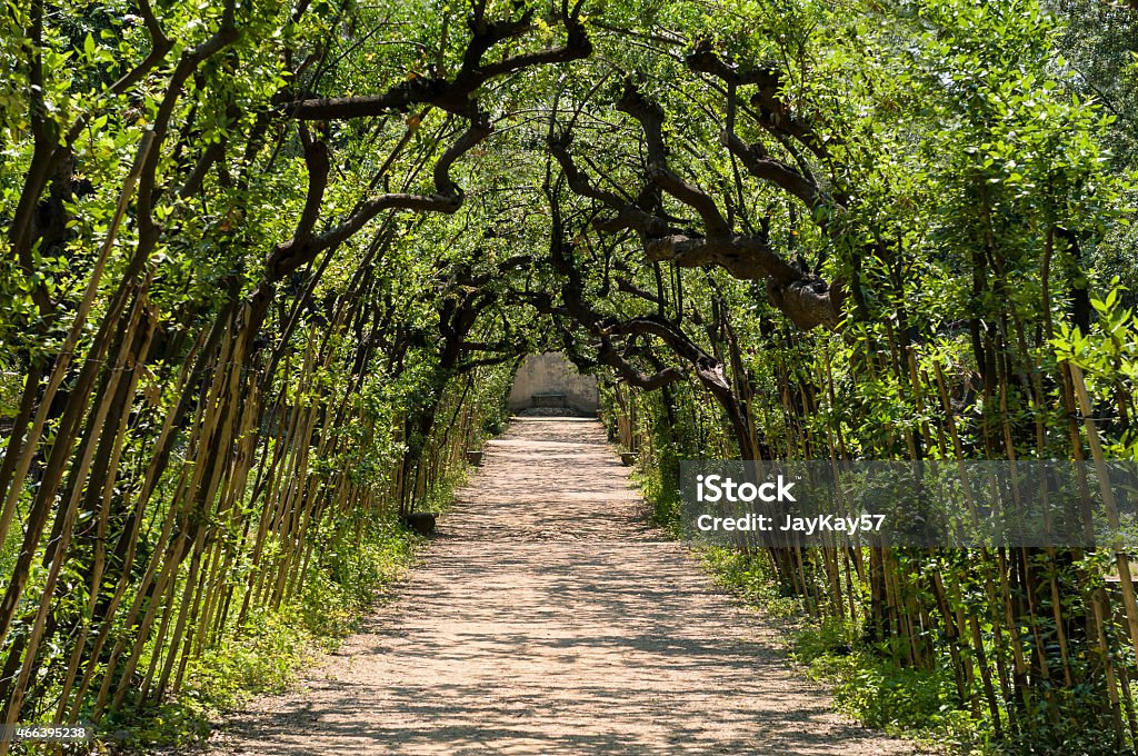 Garden Path Garden Path surrounded by trees 2015 Stock Photo