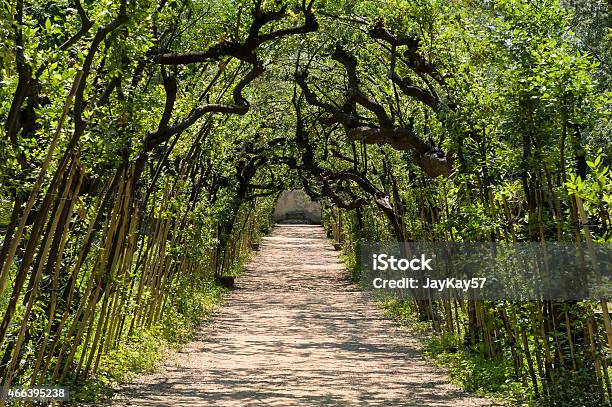 Garden Path Stock Photo - Download Image Now - 2015, Footpath, Forest