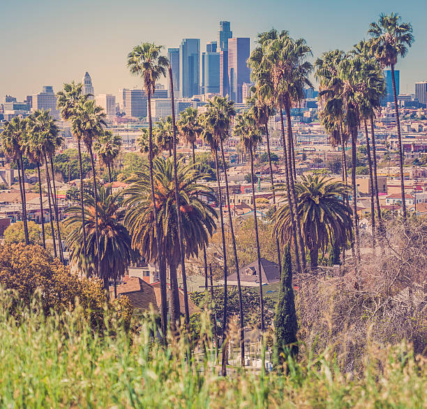 istock Downtown Los Angeles with palm trees in the foreground 466395290