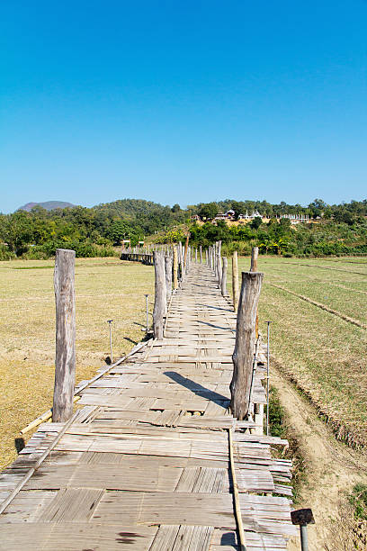 istock Su Tong Pae Bamboo Bridge 466395790