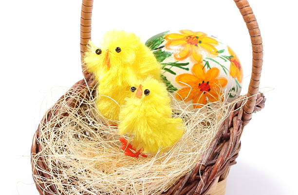 istock Easter chickens in wicker basket and painted egg 466399208