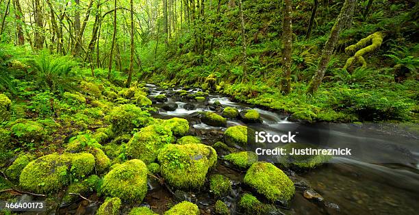 Mossy Rocks Panorama Stock Photo - Download Image Now - Blurred Motion, Color Image, Columbia River Gorge