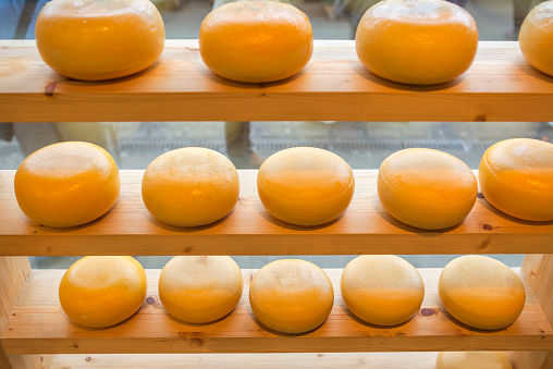 round of cheese at amsterdam holland