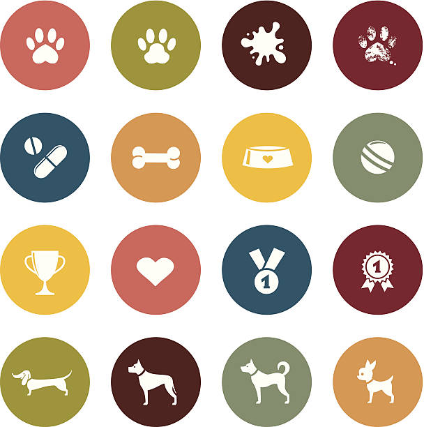 ilustraciones, imágenes clip art, dibujos animados e iconos de stock de perro mascota icono - animal bone