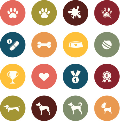 Dog pet icon collection