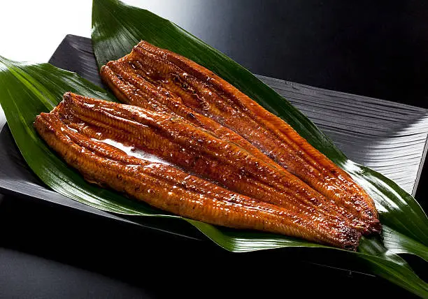 japanese food roast eel ( unagi ) on bamboo grass
