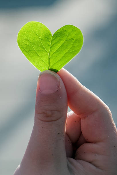 Love in the Plants stock photo