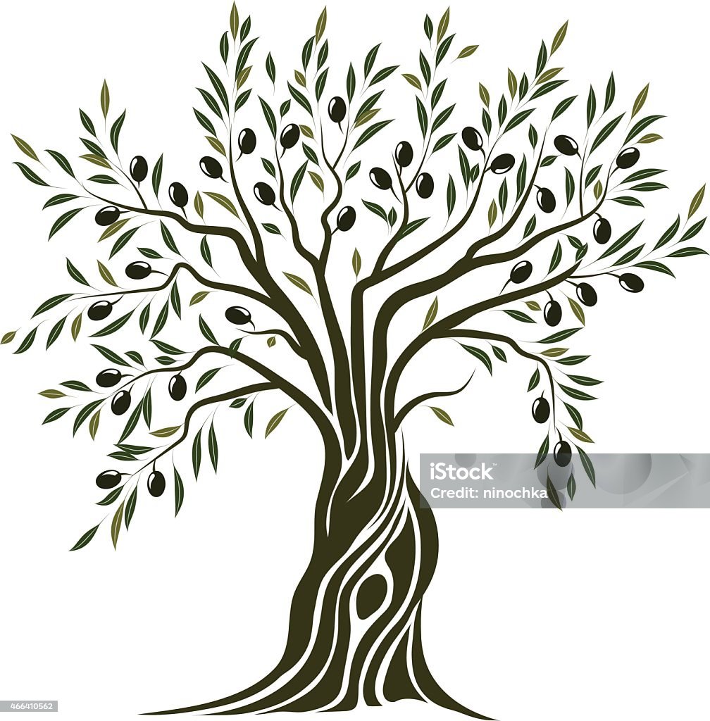 Olive Tree Olive Tree stock vector