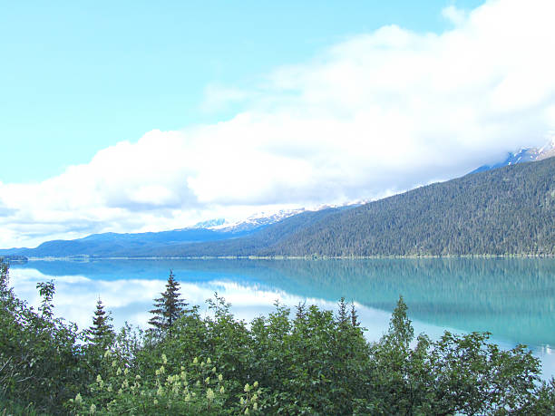istock Kenai Fjords National Park 466410638