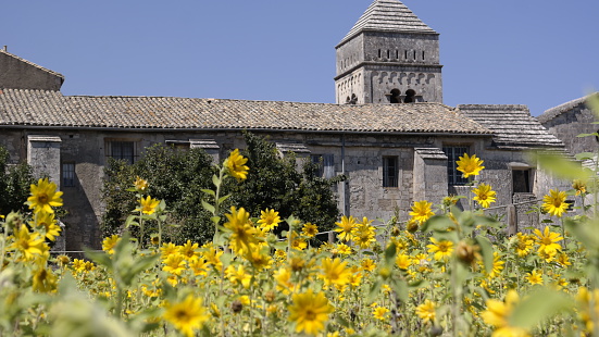 Abbey in St. Remy de Provence in a sunflower field