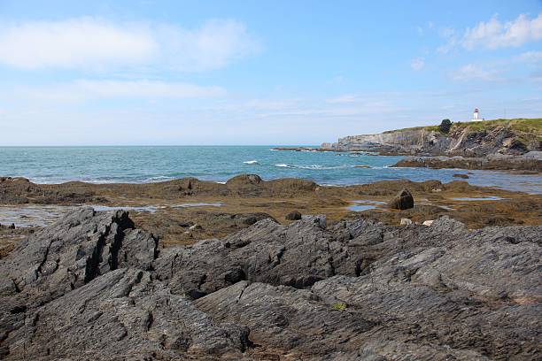istock Scenic view of Cape Saint Mary, Nova Scotia, Canada 466410890