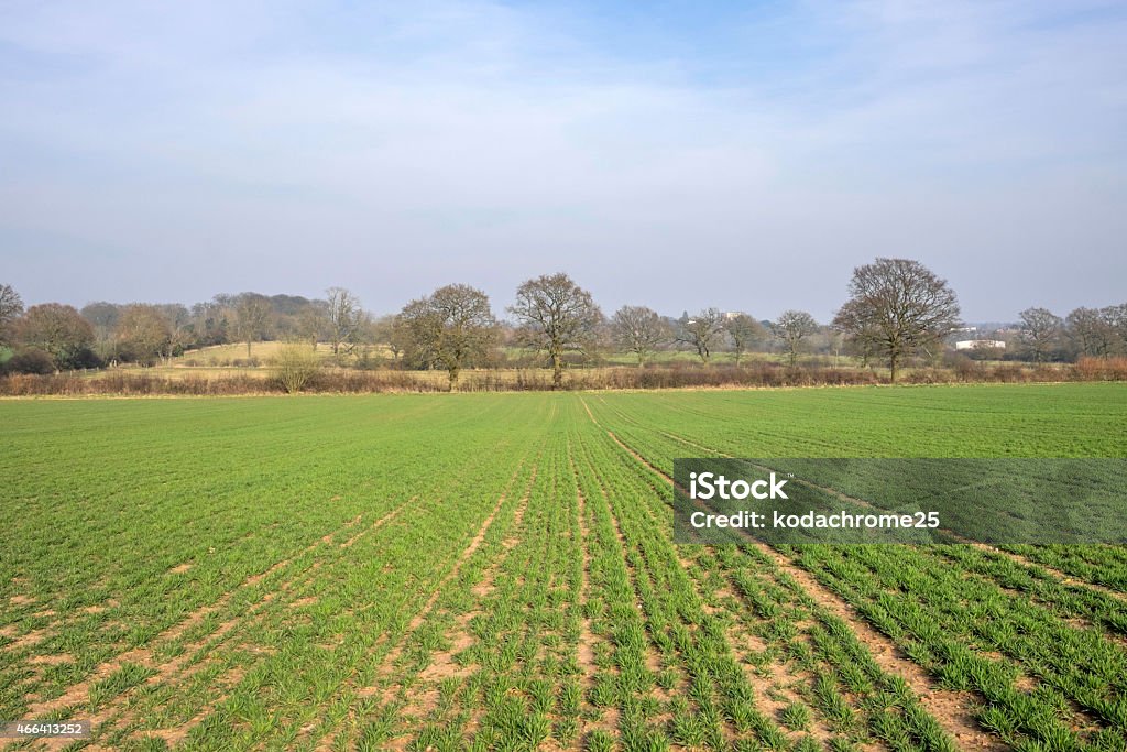 field A generic image of a field on farmland in a typically rural English landscape. There is a lot of empty space in the picture making it suitable as a background for text. 2015 Stock Photo