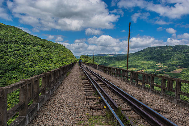 istock Traveler railroad nature 466413990