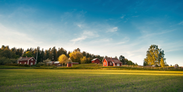 Swedish nature and landscape.